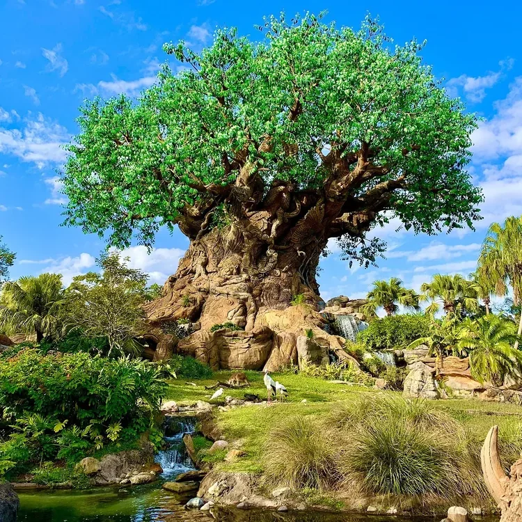 Árvore da Vida no Animal Kingdom