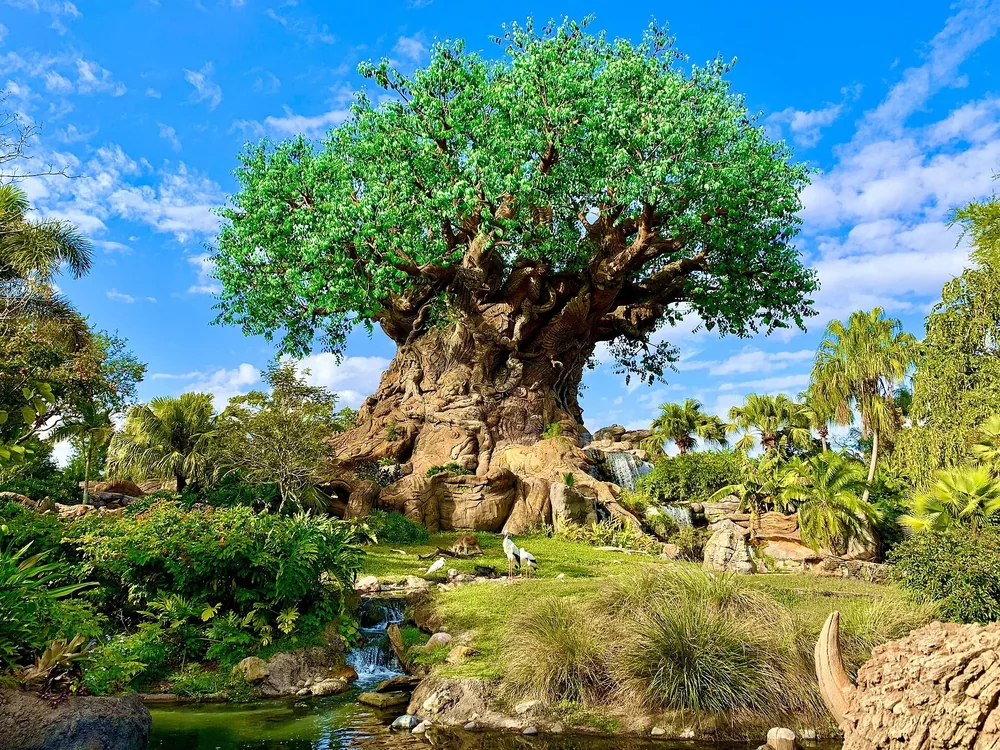 Árvore da Vida no Animal Kingdom