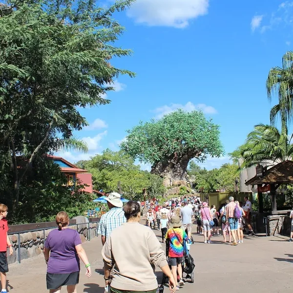 Animal Kingdom